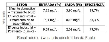 Remoção biológica reduz poluição por excesso de fósforo em rios, lagos e oceanos 